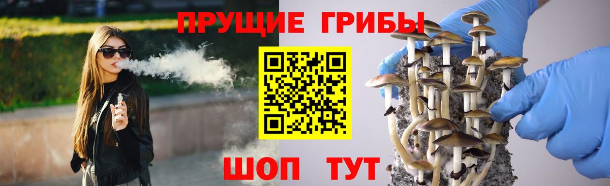 сколько стоит  Галлюциногенные грибы MAGIC MUSHROOMS  Владикавказ  Вход с VPN  Псилоцибиновые грибы Cubensis 